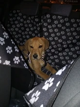 Portadores Del Perro Huella PERRERA CARAMELO Impermeable Trasero Hacia Atrás la Cubierta de Asiento de Coche Perro Esteras Hamaca Protector Con Cinturón de Seguridad D1010
