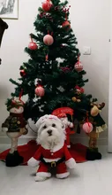 Apparel Costume Christmas-Clothes Dog-Suit Pet-Coat Santa-Claus with Winter Gomaomi Cap