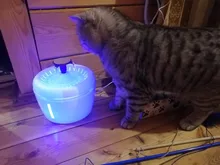 Bowl Cat-Fountain Water-Dispenser Pet-Dog Electric Automatic USB Mute