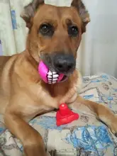 Squeaky Toy Ball Dog Fetching Play Puppy-Cat Chew-Sound Funny Quack 10PCS for Small Pet-Dog