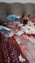 Barato Chaleco de verano para perro mascota perro para ropa de perros gato chaleco camisa perro ropa para perros traje Pequeño medio ropa para perro Chihuahua