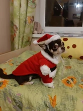 Christmas Pet Dog Cat Costumes Funny Santa Claus Costume For Dogs Cats Winter Warm Dog