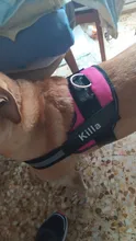 Dog-Harness Custom-Patch Reflective No-Pull Adjustable Small Large Dog Personalized 