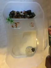 Caja de vivero de reptiles, hábitat de tortuga con rampa de pesca, herramientas de Acuario, caja de Vivarium de tortuga