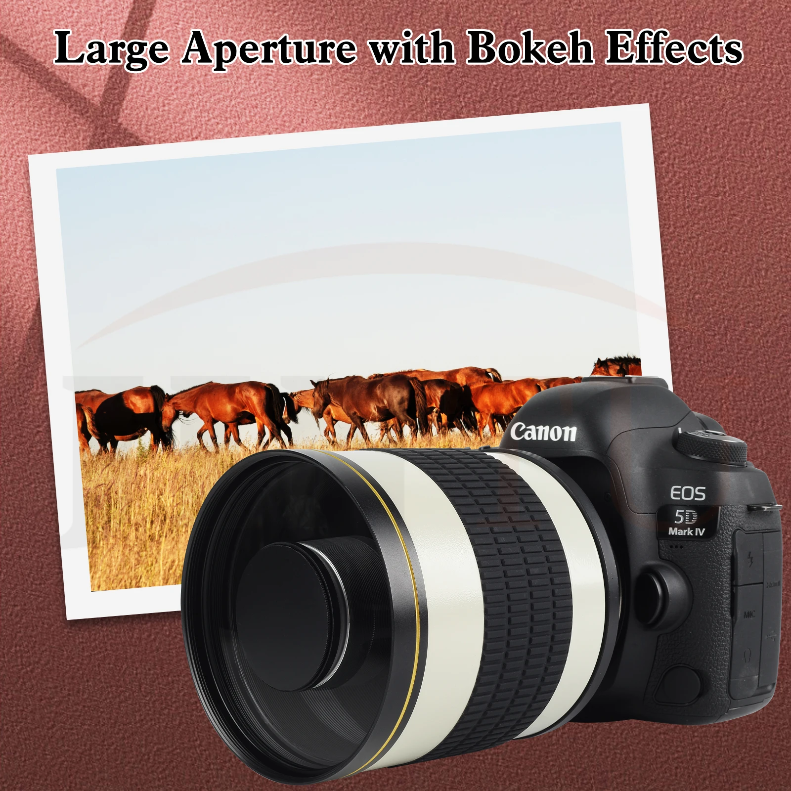 高画質/Canon EOS 5D Mark IV望遠レンズセット Canon EOS 5D Mark IVレンズセット 高画質/Canon EOS 5D Mark IV望遠レンズ