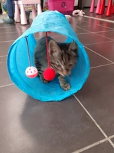Cat Tunnel Balls Tubes Kitten-Toys Crinkle Puppy-Ferrets Pet Rabbit Play Funny 2-Holes