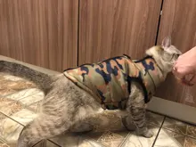 Puppy Outfit Vest Coat Dog-Jacket Pets Padded-Chihuahua Apparel-20 Small-Dogs Warm Winter