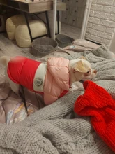 Outfit Jacket Hoodie Dog Warm Waterproof Winter Coat Splice Pet-Puppy 6-Colours 8-Sizes