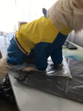 Jumpsuit Raincoat Pet-Cloak Teddy Waterproof-Jacket HOOPET Dogs Chihuahua for Small Cat