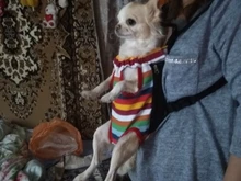 Gato bolsa frente mochila portador de chihuahua de perro de peluche mochila perros pequeños de mascotas productos para mascotas perros chien