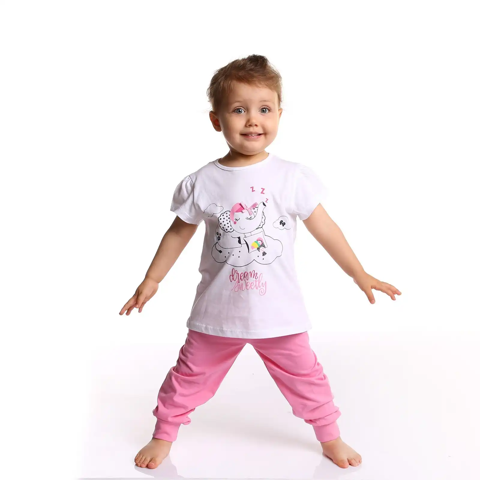 fisher price garden set