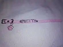 Cat-Collar Cat-Accessories Puppy Rhinestone Name Custom Small Chihuahua Yorkshire-Free