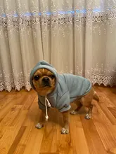 De Primavera de algodón perro de mascota con capucha perro ropa de invierno suave con capucha ropa de Chihuahua perros pequeños perros gatos ropa