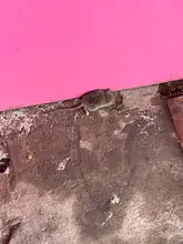 Ropa informal estilo Hip Hop Harajuku T camisa chica Kanji japonés impresión camiseta 2021 hombres de verano camiseta de manga corta de algodón suelto Tops Tees