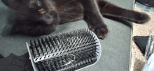 Comb Brush Cat-Product Cat-Massage Self-Groomer Corner Tickling The-Face with Rubs