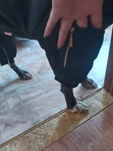 Dog-Coat Winter HOOPET for Dogs Clothing Warm Christmas Big