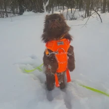 Adjustable Harness Dog-Accessories No-Pull-Vest Truelove Large Padded Pet-Dog Outdoor-Sport