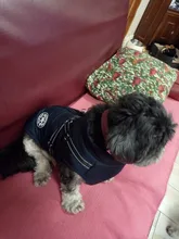 De invierno para mascotas ropa de perro francés mascota Bulldog cálido Chaleco con arnés abrigo perro ropa chaleco pequeño mediano para perros