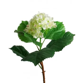

Manmade flower Hydrangea Hydrangea White