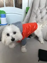 Hoodies Jacket Puppy French-Bulldog Small Dogs Waterproof Dog Chihuahua Winter Autumn