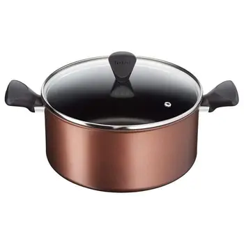 

TEFAL G1084602 Loaf resources 24 cm (5 L) + Cover induction Brown