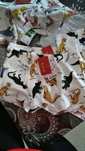 Ropa interior de algodón para bebés, pantalones cortos de dibujos animados de dinosaurios, para niños pequeños, 5 uds.