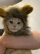 Disfraz de perro o gato Peluca de melena de León, gorro para gato, perro, ropa de Halloween y Navidad, vestido de lujo con orejas, ropa para mascotas