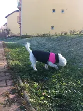 8 Size S-5XL Winter Dog Clothes For Pet Waterproof Warm Large Dog Vest Cat Puppy Dog