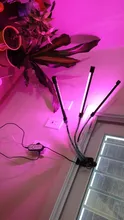 Grow-Light Lamps Timer Flowers Desktop-Clip LED Phyto Full-Spectrum For Plants DC5V USB