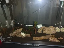 12/16mm Aquarium Trachea Stainless Steel Protective Sleeve Fish Tank Filter