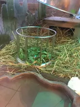 Cuenco alimentador de tortuga de acero inoxidable, dispensador de alimentos, herramienta de alimentación, suministro multifunción para reptiles y mascotas, plato de agua de tortuga