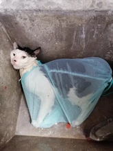 Bolsa de baño para gatos y gatos, bolsas de lavado para aseo, bolsa de limpieza para baño de gatos, restricción para antiarañazos mordedura, suministros para gatos, corte de uñas YT0015