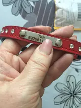 Dog-Collar Dogs Pink Customized Engraved Yorkies Chihuahua for Small