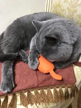 Cat-Toy Claws Pet-Supplies Plush-Toys Interactive-Tools Mint-Scratcher Catnip Teeth-Grinding