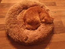 House Cat Puppy-Cushion Pet-Bed Cat-Supplies Sleeping-Bag Kennel Dog Plush Washable Warm