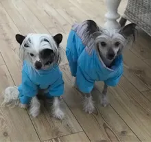 Winter Overalls for Dogs Warm Waterproof Pet Jumpsuit Trousers Male/ Female Dog Reflective