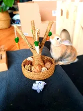 Small Animal Activity Rabbit Toy Fun Carrot Tree Boredom Breaker Rodent Dutch