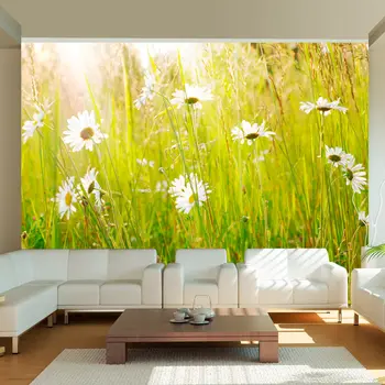 

Daisies wall mural-lawn-400x309 cm