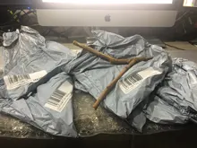 Cage-Accessories Standing-Stick Perches Cockatiel Wood-Pole Bird Pet Parrot Parakeet