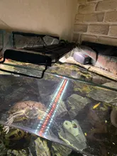 Led-Lamp Dimmer Fish-Tank-Light Aquarium Sunrise Sunset Marine Automatic Full-Spectrum