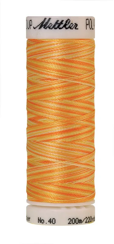 Нить для вышивания мультиколор POLY SHEEN MULTI METTLER, цвет 9925, 200 м