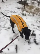 MySudui Medium Big Dog Winter Clothes For Dogs Pets Clothing Reflective Dog Jackets Outdoor