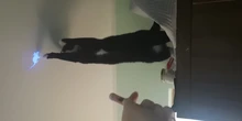 Juguete para gatos, juguete Gato creativo y divertido, puntero LED, pluma de luz con animación ratón brillante
