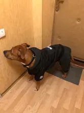 Dog-Coat Winter HOOPET for Dogs Clothing Warm Christmas Big