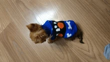 Sweater Bulldog-Outfit Chihuahua-Coat Knitted French Winter Dogs Warm for Small Pug-Clothing