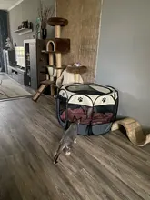 Jaula portátil plegable para mascotas, casa de perro para exterior, jaula octagonal para gatos, corralito de interior, perrera para gatos