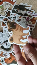 Pegatinas de dibujos animados para perros, diferentes estilos, pegatina de perro, animales, divertido Corgi para teléfono portátil, suministros para mascotas, regalos para fiesta para niños, 50 Uds.