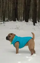 Vest Dog Jacket French Bulldog Waterproof Coat Pet-Outfit Dogs-Pet Winter Large Medium