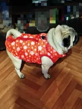 Puppy Vest Coat Clothing Jacket Dogs Chihuahua Waterproof Large Winter Medium Pet-Dog