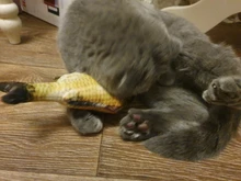 Pez de imitación de gato de peluche, juguete divertido para gato, molar mordedura, carpa herbívora, almohada para muñeca